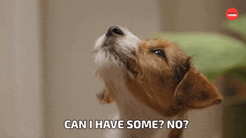 Can I Have Some Dog Food GIF by BuzzFeed