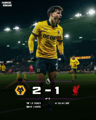 Football Liverpool GIF