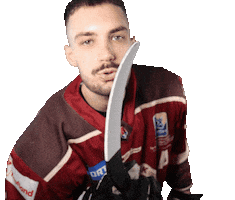 TIPOS Slovenská hokejová liga Sticker