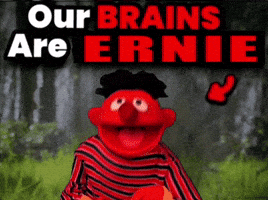 Sesame Street Brain GIF