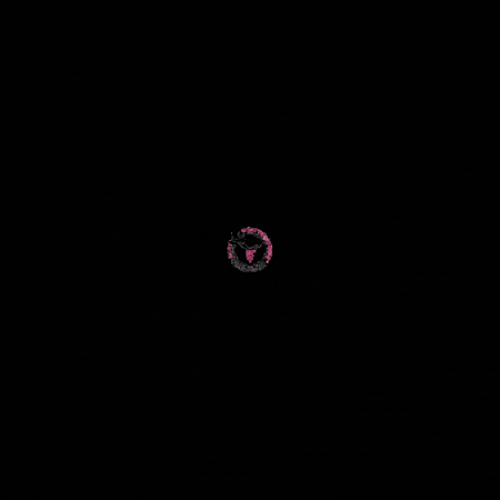 Weinliebe Traube GIF by echt_wuerttemberger_weinmacher