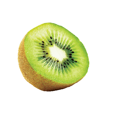 Yanga Sports Water Sticker