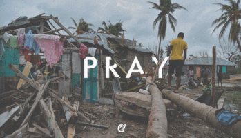 jorgehgutierrez  GIF