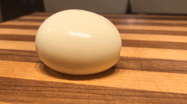 Egg GIF