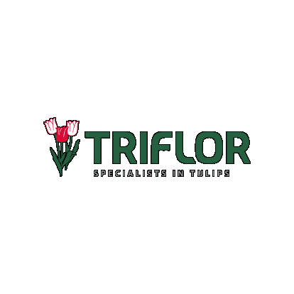 Triflor Sticker