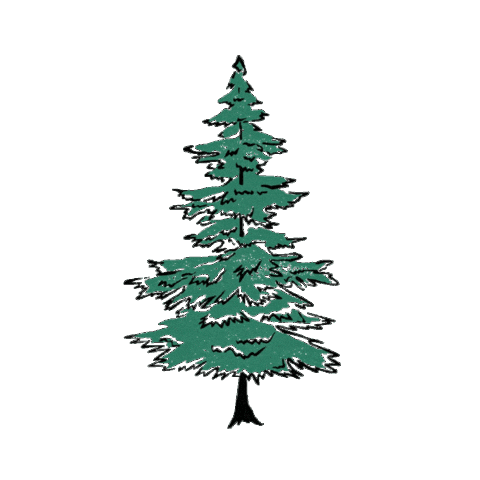 DODKOREA Sticker
