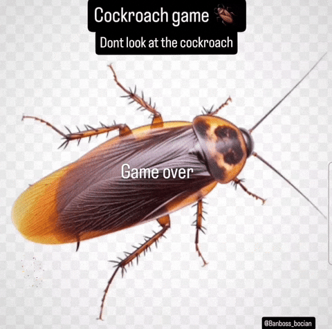 Cockroach Game GIF