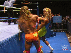 the ultimate warrior slap GIF by WWE
