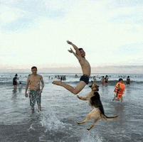 Welp GIF
