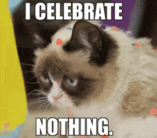 Happy Birthday GIF by Internet Cat Video Festival