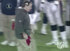 Hide It New England Patriots GIF by NFL