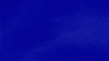 Governor Guvnah GIF by Jeopardy!