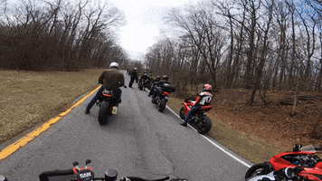 Motorcycles Ducatisti GIF by Gotham Ducati Desmo Owners Club