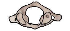 Sandyspines Sticker