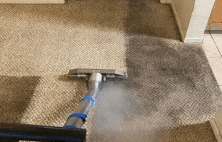 Carpet Cleaning Kingston Nj GIF