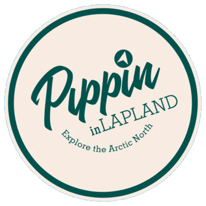 Winter Icehotel Sticker by Pippin in Lapland