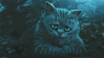cheshire cat GIF