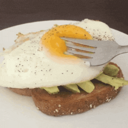  egg GIF
