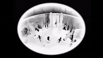 Smashing Pumpkins GIF by Ringo Peace and Love