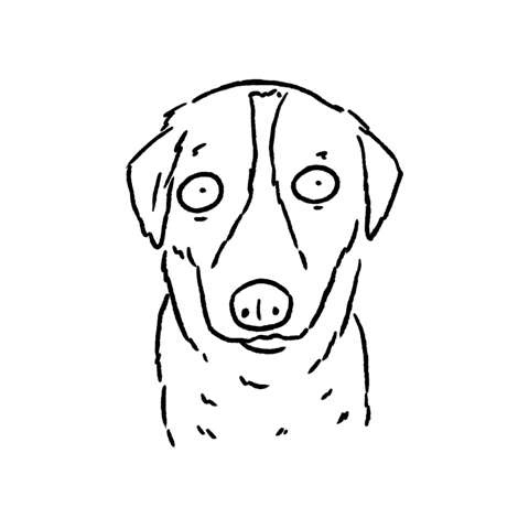 Shocked Dog GIF by butpoorlydrawn