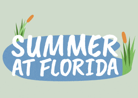 Summer Sun GIF by University of Florida