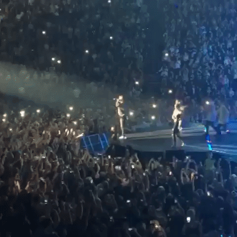 niv  GIF