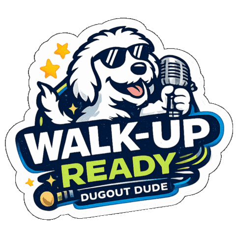 Lets Play Baseball Sticker by Dugout Dude