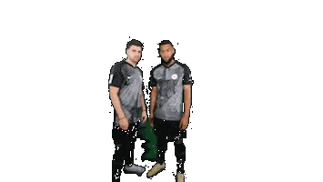 Loewen Sticker by KSV Hessen Kassel e.V.