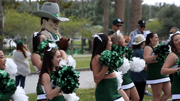 Homecoming Deland GIF by Stetson University