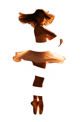 Sticker by DanceWear