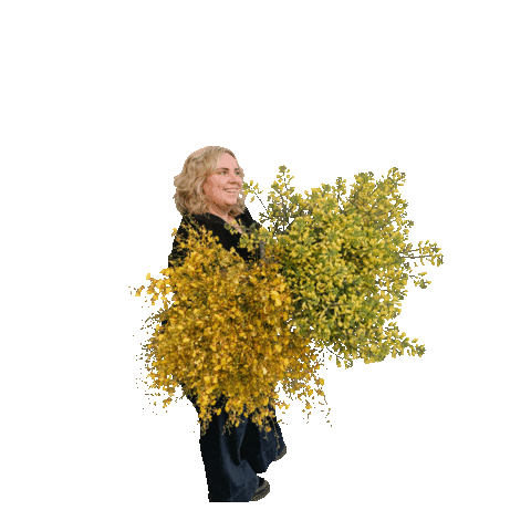 Blush & Bloom Sticker