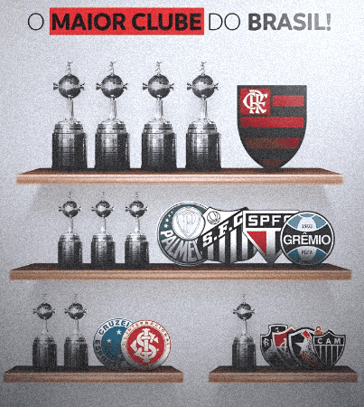 Rei Libertadores GIF