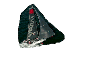 Charal Sailing Team Sticker