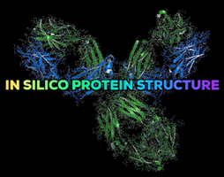 In Silico Protein Structure GIF