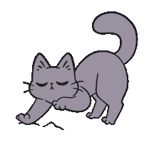 Cat Dancingcat Sticker