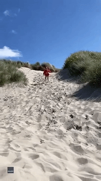 Kid's Sprint Down Sand Dune Results in Faceplant