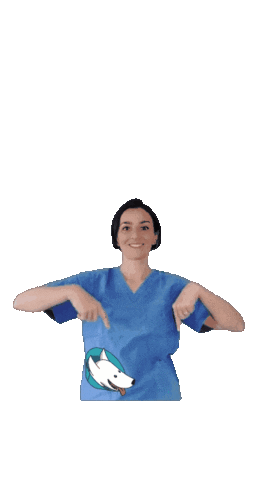 amicaveterinaria Sticker