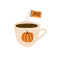 Pumpkin Spice Fall GIF by Tracy Myers