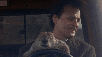 bill murray groundhog GIF by Hollywood Suite