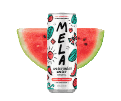 Watermelon Water Sticker by Mela Water
