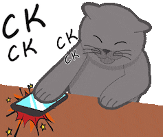 Animated Sticker
