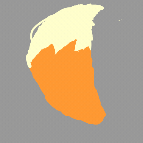 Sketchmachine GIF