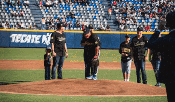 Bronco Sultanes GIF by Auditorio Pabellón M