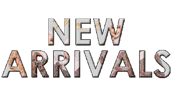 New Arrivals Sticker by Padieka Raccolta