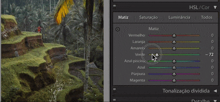 Lightroom GIF