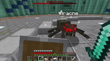 Minecraft GIF