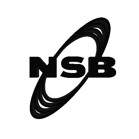 Noir Sur Blanc Records Sticker