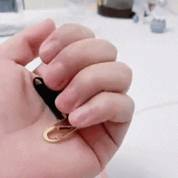 Animasjons GIF