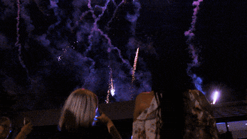 Excited Fireworks GIF by University of South Carolina