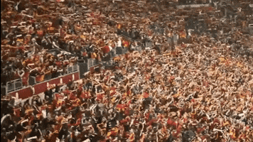 Turkish Football GIF by Galatasaray